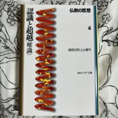 認識と超越　唯識　仏教の思想 4
