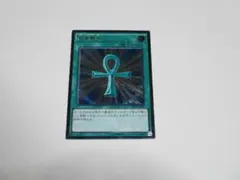 2025年最新】遊戯王 TRC 死者蘇生の人気アイテム - メルカリ