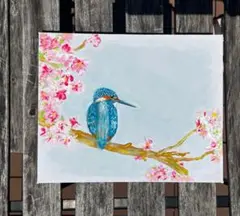 カワセミと桜のアクリル画
