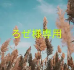 ろぜ様専用出品