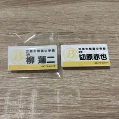 新テニスの王子様 テニプリ展 ネームプレート 柳蓮二 切原赤也