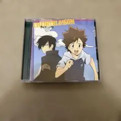 家庭教師ヒットマンREBORN！夢のマニュアルCD