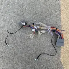 Item thumbnail for item b603b2a6-1461-425b-9837-2350b70a34fb