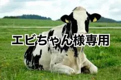 画像内容