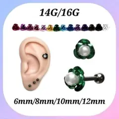 Item thumbnail for item 8f60b800-a63f-464e-bb70-6f8087ad8455