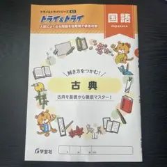 高校入試苦手単元対策 トライ&トライ 国語