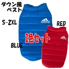 Item thumbnail for item 18f90059-ecc7-412c-8a1d-fcf16897beef