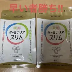 アミノセルス製薬 ターミナリアスリム 60粒×2袋