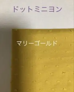 マリーゴールド☆ドットミニヨン check&stripe チェックアンド