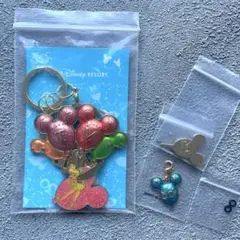 東京ディズニーリゾート 30周年 限定　キーホルダーセット 未使用品　チャーム
