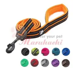 True Love 犬用リード　売り尽くし価格