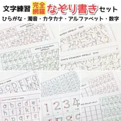 文字練習セット ひらがな表 カタカナ表 なぞり書き 書き順練習 運筆 就学準備