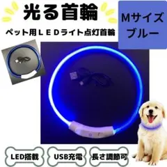 光る首輪 犬用 LED搭載 USB充電 ブルー Mサイズ