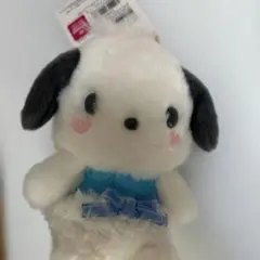 サンリオ　ポチャッコ　Sanrio
