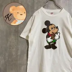 【希少★】anvil メンズ　Tシャツ　半袖　ミッキー　ハワイ　バックプリント