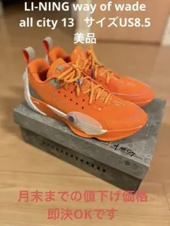 リーニン　way of wade allcity13