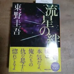 流星の絆