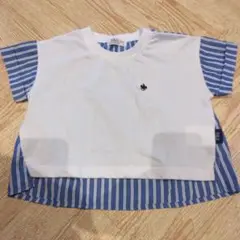 POLO Baby ストライプTシャツ 80