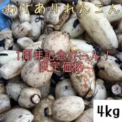 茨城県産 わけありれんこん 4kg ⚪︎産地直送⚪︎