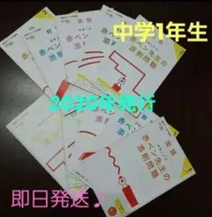 進研ゼミ中学講座中1赤ペン先生添削問題スタンダード10冊セット