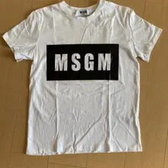 MSGM⭐︎Tシャツ