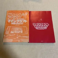 マインクラフト　Switch 攻略本　2冊セット