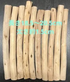 Item thumbnail for item 7acda241-1810-4dc5-827e-35eba5cdc438