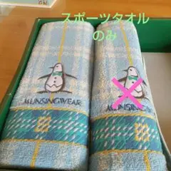 マンシングスポーツタオルのみ