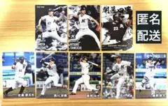 プロ野球チップス2025　第2弾　千葉ロッテマリーンズ　8枚セット