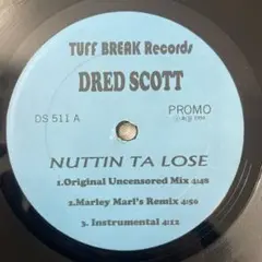 Dred Scott Check The Vibe 12インチシングル DRED SCOTT / CHECK THE VIBE (12