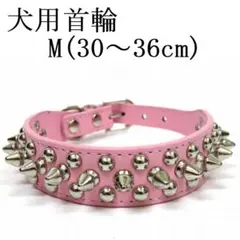 Item thumbnail for item 4966663c-cda7-420f-ad74-a2119f02165a