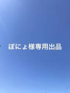 ぽにょ様専用