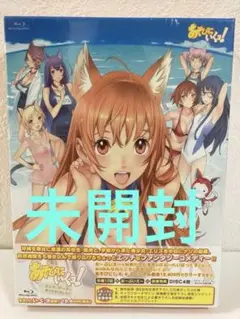 あそびにいくヨ! ぶるーれいぼっくすであそびきにました! ! Blu-ray