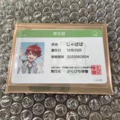 ぱらぴち　2025 からぴち　学生証　じゃぱぱ