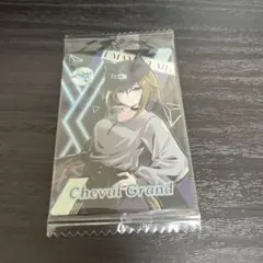 ウマ娘　ウエハース　シュヴァルグラン　マリン・C