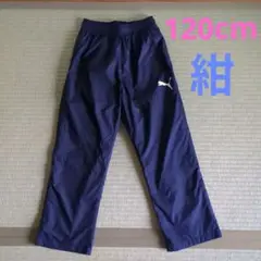 Item thumbnail for item 0d728195-02f2-4d68-8354-06c623c784c7