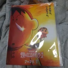 超華麗!灼熱のカスタベダンサーズスライダーポケット付きクリアファイル