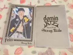 straykids スキズ フィリックス dominATE ライブフォトカード④