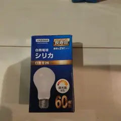 豆電球