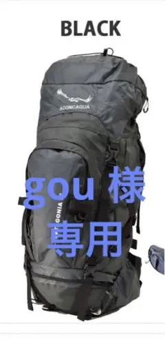 バックパック Aconcagua Patagonia大容量
