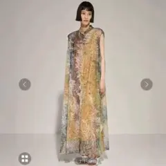 Ameri RIPPLE SHAGGY ART TRANSFORM DRESS