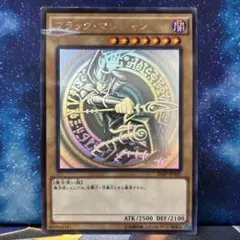 遊戯王　青眼の白龍　ブラックマジシャン　ホロ　ホロパラ　ワンオーナー　セット 2025年最新】遊戯王 ブラックマジシャン ホロ apの人気アイテム