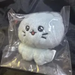 チェゴシム ぬいぐるみ　マスコット　ガチャガチャ ねこゴシム