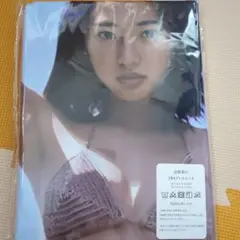 武田玲奈　両面抱き枕カバー160cm×50cm 新品未使用
