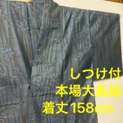 しつけ付 超美品 着物 きもの 本場大島紬 紬 縦横 正絹 黒 青 158