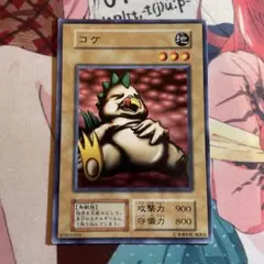 コケ　初期