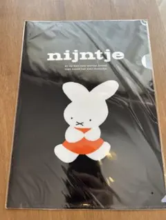 Dick Bruna ミッフィー　ナインチェ クリアファイル 70周年
