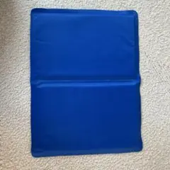 Item thumbnail for item f6c11cf4-f5aa-4a10-a5f5-71ad53d8128d
