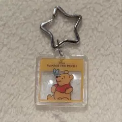 プーさん ディズニーストア シークレットアクリルキーホルダー