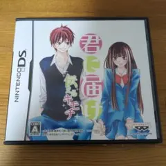 君に届け 伝えるキモチ Nintendo DS ソフト